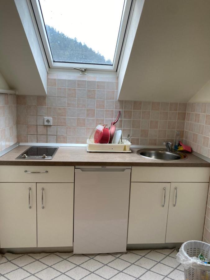 Apartma Regina Slovenj Gradec Eksteriør billede