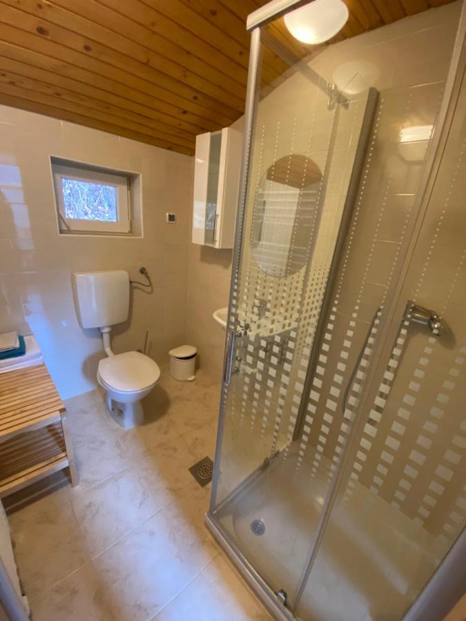 Apartma Regina Slovenj Gradec Eksteriør billede